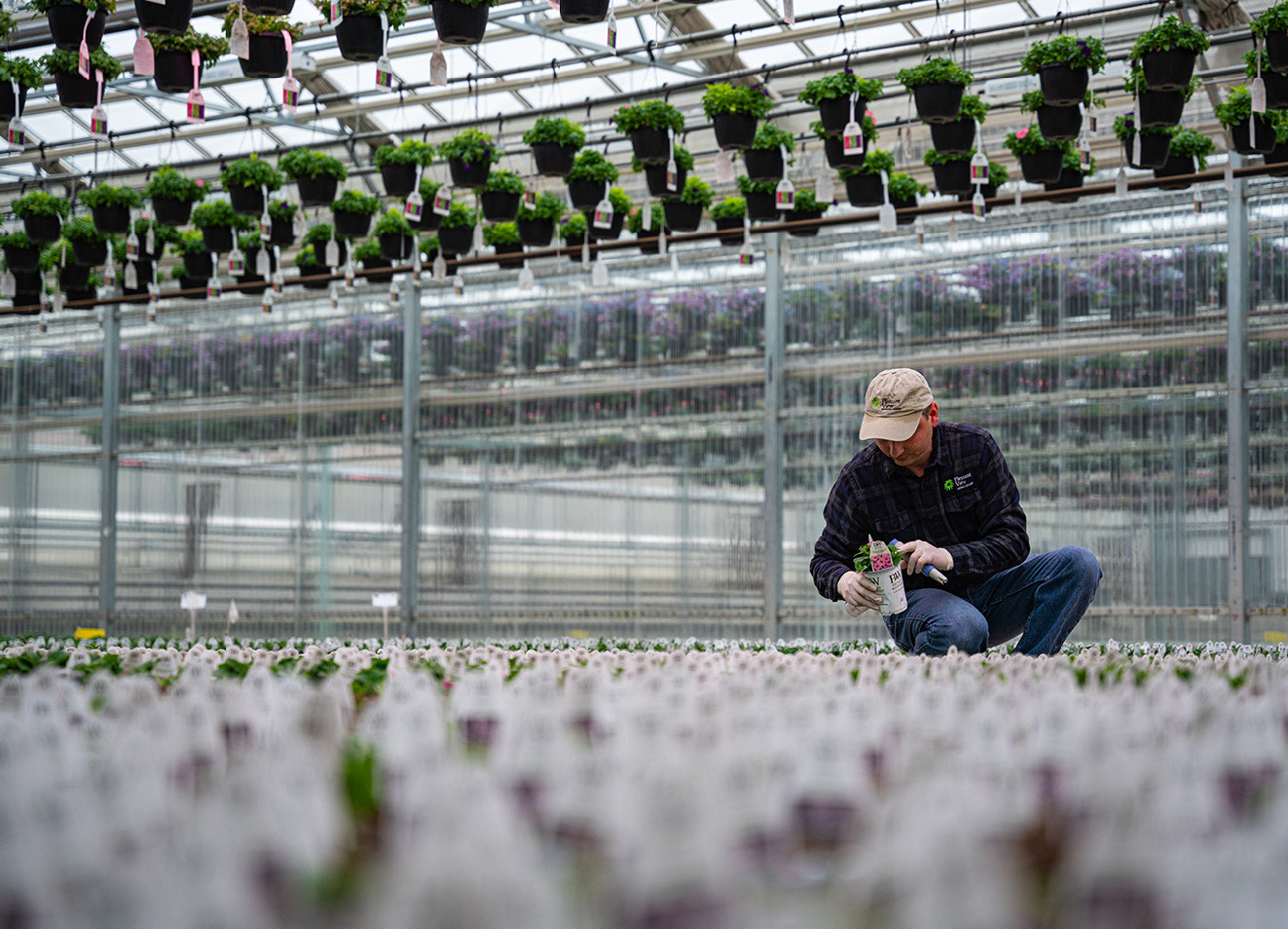 Footer CTA Background